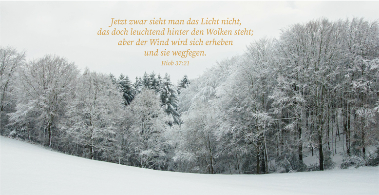 Verschneite Bäume mit einem Bibelvers