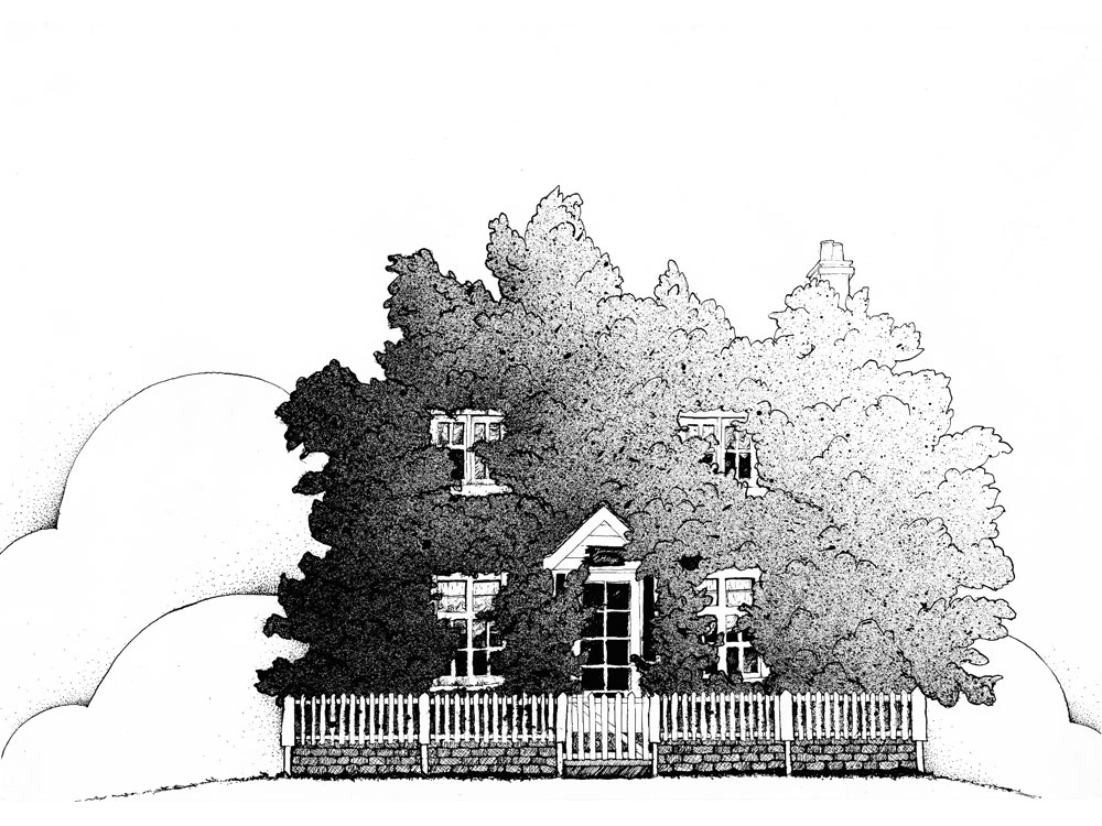 Federzeichnung eines zugewachsenen Cottages
