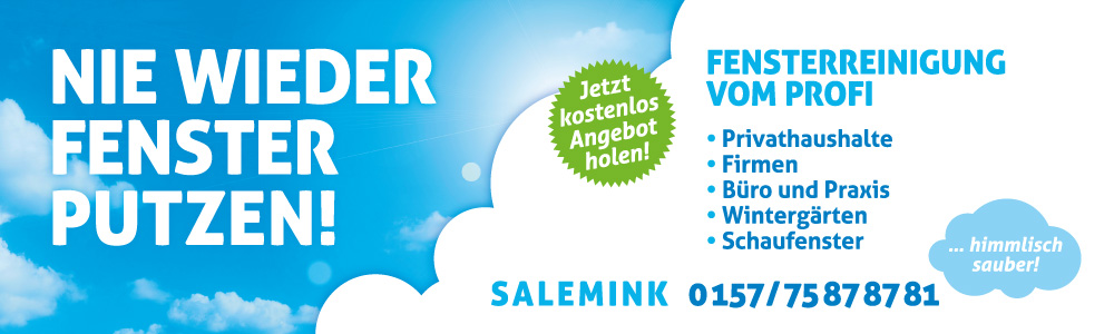 Bannerentwurf für einen Fensterputzer